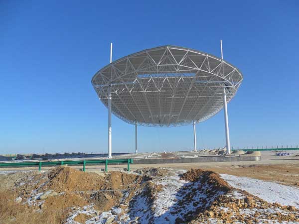 枣阳加油站网架工程